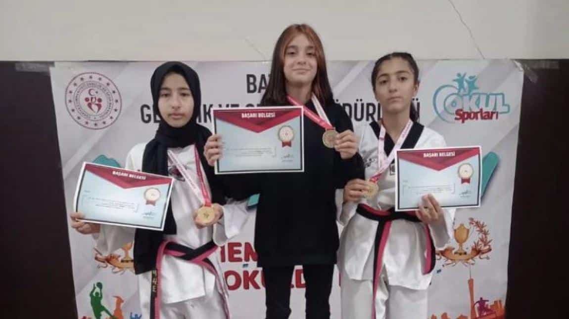 Taekwondo Turnuvası elemesinde  öğrencilerimiz kendi kategorisinde 1.olmuştur.